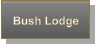 Bush Lodge